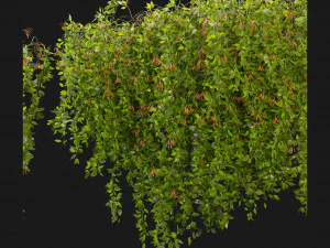 Collection Plant Vol 221 - Blender Model 3D Model