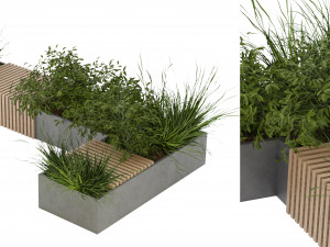 Collection Plant Vol 224 - Blender Model Model 3D