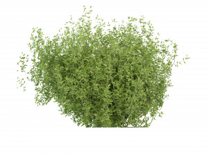 Collection Plant Vol 226 - Blender Model Model 3D
