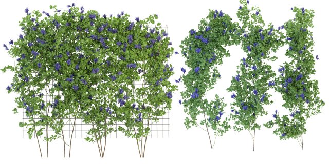 Collection Plant Vol 227 - Blender Model Modelo 3D .c4d .max .obj .3ds .fbx .stl .blend 