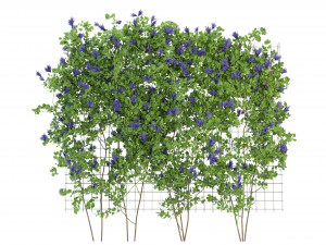 Collection Plant Vol 227 - Blender Model Modelo 3D