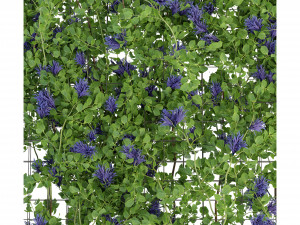 Collection Plant Vol 227 - Blender Model Modelo 3D
