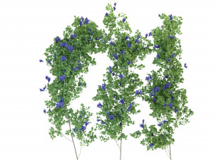 Collection Plant Vol 227 - Blender Model Modelo 3D