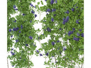 Collection Plant Vol 227 - Blender Model Modelo 3D
