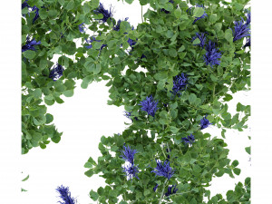 Collection Plant Vol 227 - Blender Model Modelo 3D