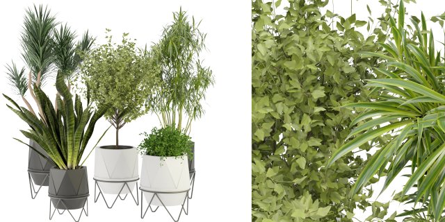 Collection Plant Vol 229 - Blender Model 3D Model .c4d .max .obj .3ds .fbx .stl .blend 