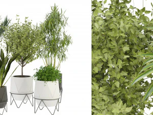 Collection Plant Vol 229 - Blender Model 3D Model