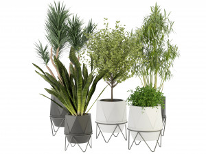 Collection Plant Vol 229 - Blender Model 3D Model