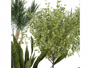 Collection Plant Vol 229 - Blender Model 3D Model
