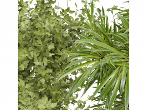 Collection Plant Vol 229 - Blender Model 3D Model