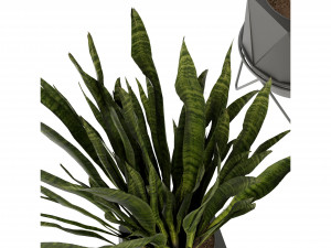 Collection Plant Vol 229 - Blender Model 3D Model