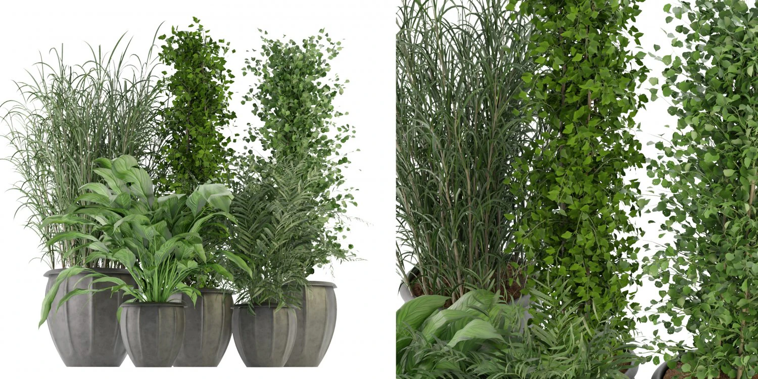 Collection Plant Vol 231 - Blender Model 3D Model .c4d .max .obj .3ds .fbx .stl .blend 