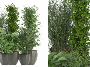 Collection Plant Vol 231 - Blender Model 3D Model