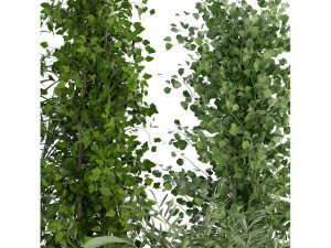 Collection Plant Vol 231 - Blender Model Model 3D