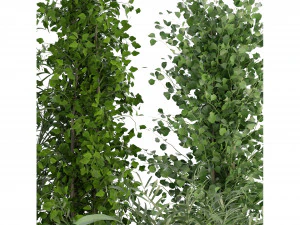 Collection Plant Vol 231 - Blender Model 3D Model