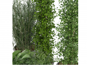 Collection Plant Vol 231 - Blender Model Model 3D