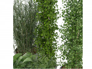 Collection Plant Vol 231 - Blender Model 3D Model