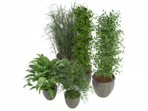 Collection Plant Vol 231 - Blender Model Model 3D