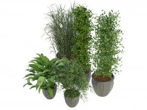 Collection Plant Vol 231 - Blender Model 3D Model