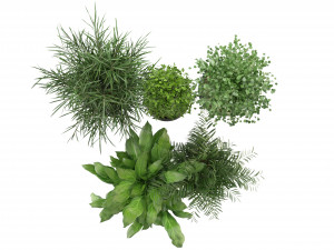 Collection Plant Vol 231 - Blender Model Model 3D