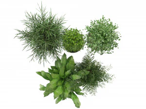 Collection Plant Vol 231 - Blender Model 3D Model