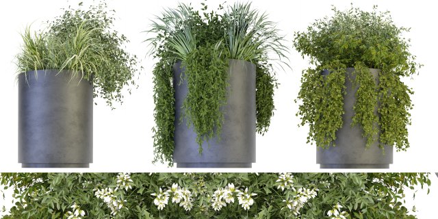 Collection Plant Vol 232 - Blender Model Modelo 3D .c4d .max .obj .3ds .fbx .stl .blend 