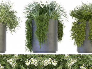 Collection Plant Vol 232 - Blender Model Model 3D