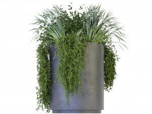 Collection Plant Vol 232 - Blender Model 3D Model