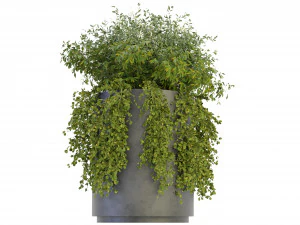 Collection Plant Vol 232 - Blender Model 3D Model