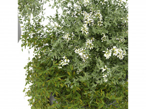 Collection Plant Vol 232 - Blender Model Modelo 3D