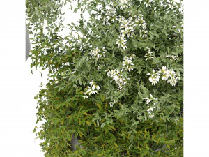 Collection Plant Vol 232 - Blender Model 3D Model