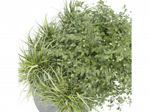 Collection Plant Vol 232 - Blender Model Modelo 3D