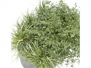 Collection Plant Vol 232 - Blender Model 3D Model