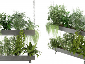 Collection Plant Vol 234 - Blender Model Model 3D