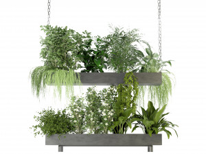Collection Plant Vol 234 - Blender Model 3D Model