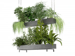 Collection Plant Vol 234 - Blender Model 3D Model