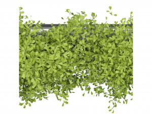 Collection Plant Vol 235 - Blender Model Model 3D