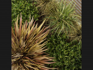 Collection Plant Vol 236 - Blender Model 3D-Modell