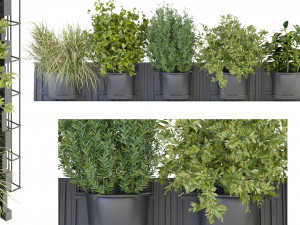 Collection Plant Vol 238 - Blender Model Model 3D