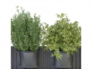 Collection Plant Vol 238 - Blender Model 3D Model