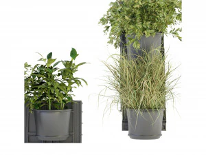 Collection Plant Vol 238 - Blender Model 3D Model