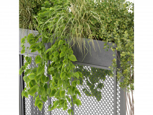 Collection Plant Vol 239 - Blender Model 3D Модель