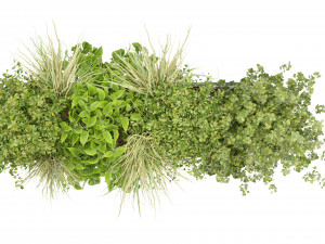 Collection Plant Vol 239 - Blender Model 3D Модель