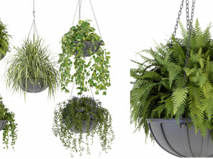 Collection Plant Vol 240 - Blender Model 3D-Modell