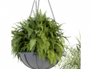 Collection Plant Vol 240 - Blender Model 3D Модель
