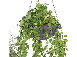 Collection Plant Vol 240 - Blender Model 3D Модель
