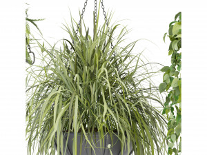Collection Plant Vol 240 - Blender Model 3D Модель