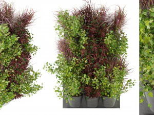 Collection Plant Vol 243 - Blender Model 3D Model