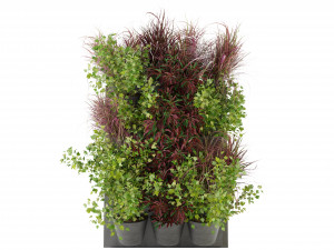 Collection Plant Vol 243 - Blender Model Model 3D