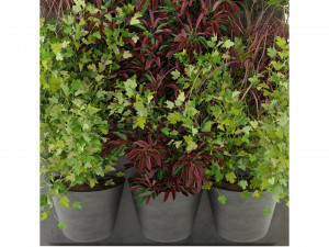 Collection Plant Vol 243 - Blender Model Model 3D